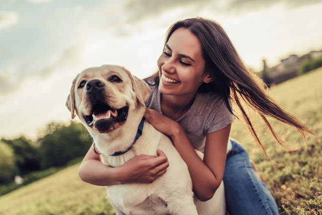 One medium or large dog per lodge room.  Two small dogs or cats is ok.  Pets may be left alone in the room as long as they are well behaved or secured in a kennel/crate. Pet fee is $30 per night, per pet – we do not charge any additional deposits.  Pet fee is waived for ADA certified service animals.